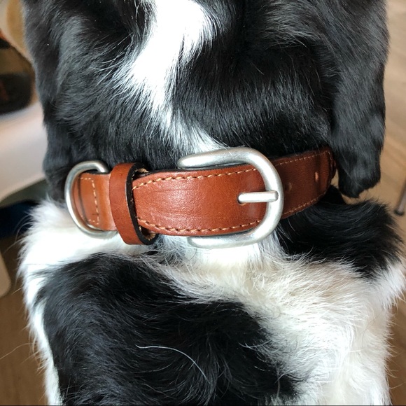 ⭐️Host Pick⭐️ Zara Multi-Coloured Braided Leash and Collar - Picture 5 of 12